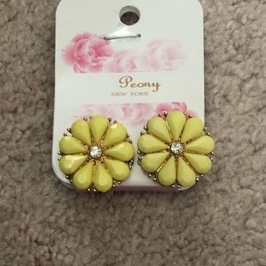 Earrings- new!